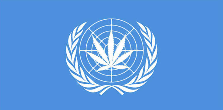 Ujedinjele nacije